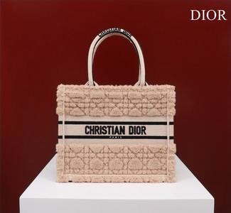 DIOR Handbags 1237